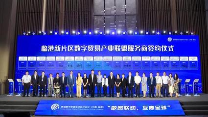 對接DEPA關系協定，推動數字經濟開放發展——“數貿聯動，互惠全球”跨境數字貿易全球伙伴會議在臨港成功舉辦